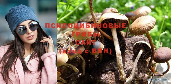 спиды Алексеевка