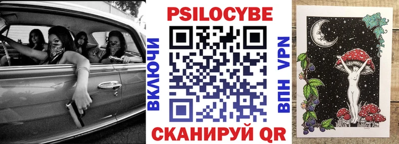 Галлюциногенные грибы Psilocybe Пошехонье